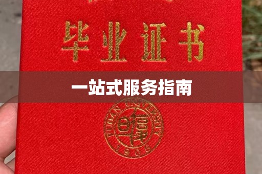 嘉陵一站式服务指南