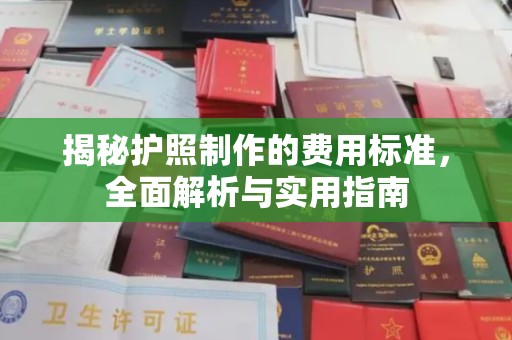 嘉陵揭秘护照制作的费用标准，全面解析与实用指南