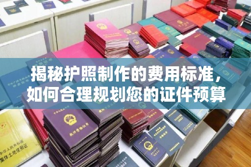 嘉陵揭秘护照制作的费用标准，如何合理规划您的证件预算
