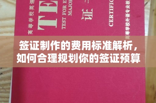 嘉陵签证制作的费用标准解析，如何合理规划你的签证预算