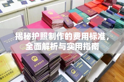 嘉陵揭秘护照制作的费用标准，全面解析与实用指南