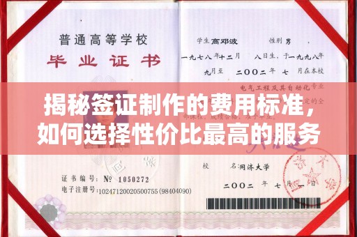 嘉陵揭秘签证制作的费用标准，如何选择性价比最高的服务？