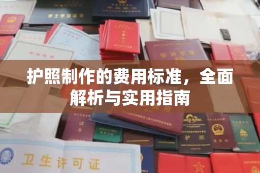 嘉陵护照制作的费用标准，全面解析与实用指南
