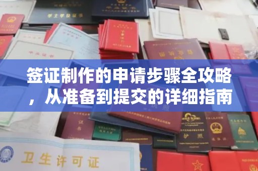 嘉陵签证制作的申请步骤全攻略，从准备到提交的详细指南